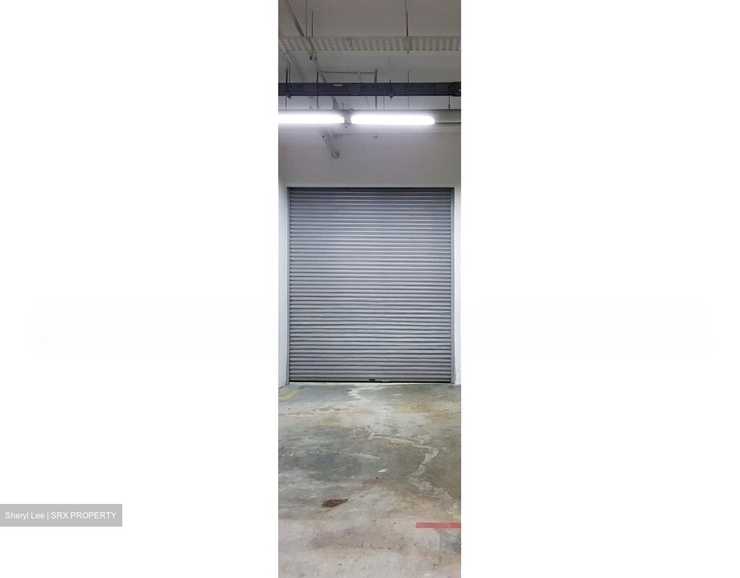 Frontier (D14), Factory #504182251